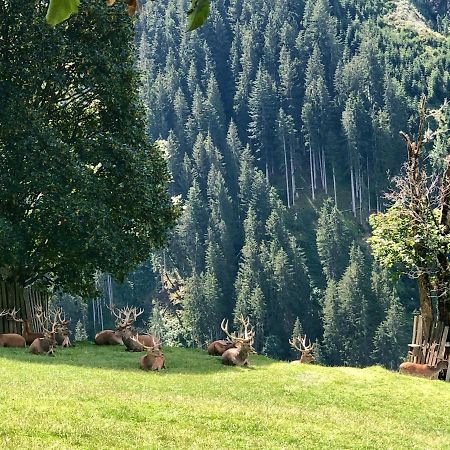 Haizelrock Кірхберг Екстер'єр фото